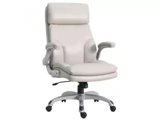 Renová tu espacio de trabajo con la Silla de escritorio ejecutiva Carter regulable marfil! Esta silla combina elegancia y funcionalidad, con un diseño moderno en color marfil que se adapta a cualquier ambiente. Disfrutá de la comodidad que te brinda su as Renová tu espacio de trabajo con la Silla de escritorio ejecutiva Carter regulable marfil! Esta silla combina elegancia y funcionalidad, con un diseño moderno en color marfil que se adapta a cualquier ambiente. Disfrutá de la comodidad que te brinda su as