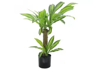 Dimensiones Alto 91 cm Especificaciones Tipo de planta artificial Arreglo planta artificial Color Verde Dimensiones Alto 91 cm Especificaciones Tipo de planta artificial Arreglo planta artificial Color Verde