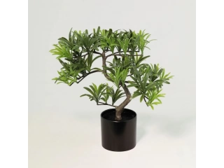 Dale un toque de elegancia natural a tu hogar con nuestro hermoso Bonsái artificial de 24cm. Su diseño realista y delicado lo convierte en el complemento perfecto para cualquier espacio, ya sea tu sala, tu oficina o tu habitación. Dale un toque de elegancia natural a tu hogar con nuestro hermoso Bonsái artificial de 24cm. Su diseño realista y delicado lo convierte en el complemento perfecto para cualquier espacio, ya sea tu sala, tu oficina o tu habitación.