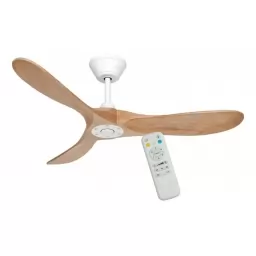 Ventilador de techo JAMES VT41