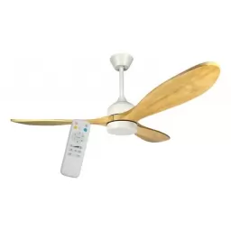 Ventilador de techo JAMES VTL 43