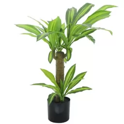 Planta artificial DRANCENEA 91 cm
