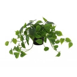 Planta Arificial POTHUS 40 CM