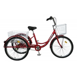 Bici 24 ZIKER TRICICLO Con canasto tracero