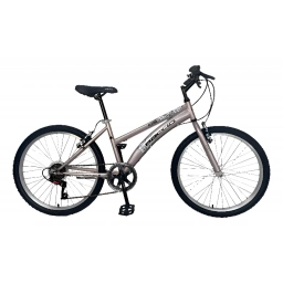 Bici 26" BACCIO Alpina lady MTB 6 VEL.