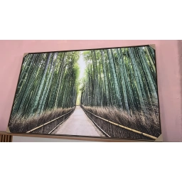 Cuadro Caaberal HORIZONTAL 1.00 X 0.80 MTS.