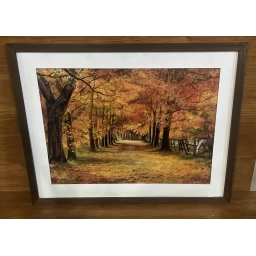 Cuadro Otoal Campestre horizontal 0.85 x 0.70 cm