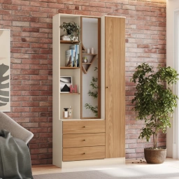 Armario MULTIUSO 1 Pta. 3 Cajones Repiza Espejo