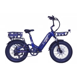 Bici. Electrica 20 S-PRO CHILLY CARGO