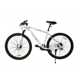 Bici 29 KOVA Andes Freno Disco 21 vel.