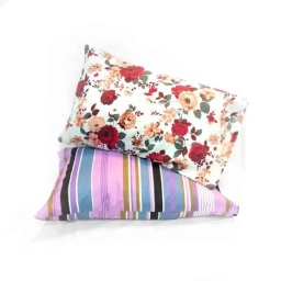Almohada IRONDEL 50 X 70 CM