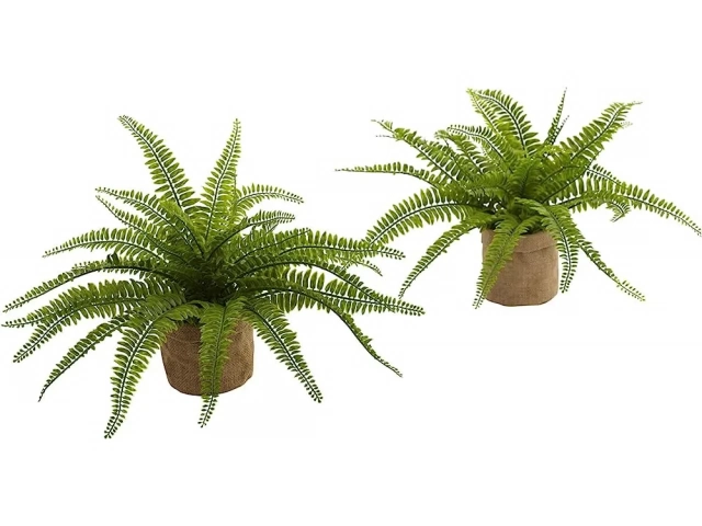 Descripcion . Planta artificial ELECHO 1 UNIDAD 43 CM  MAZETA NEGRA.